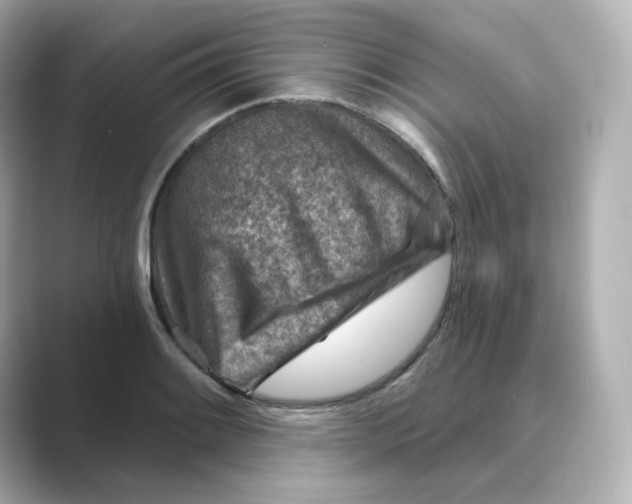 X0000088731084200706212034