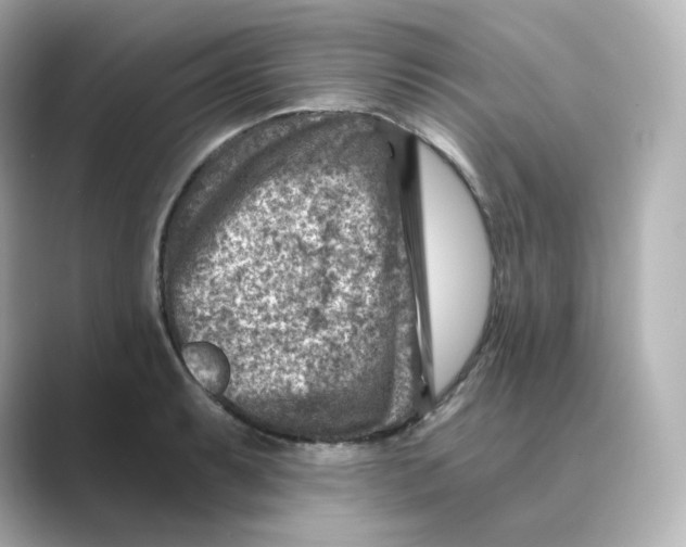 X0000088731087200706212034