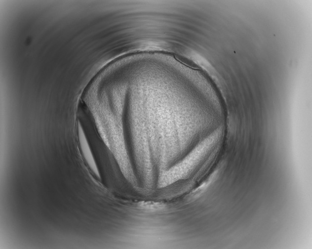 X0000088731089200706212034