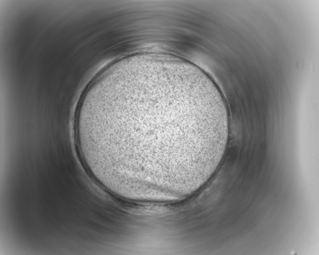 X0000088731090200706212034