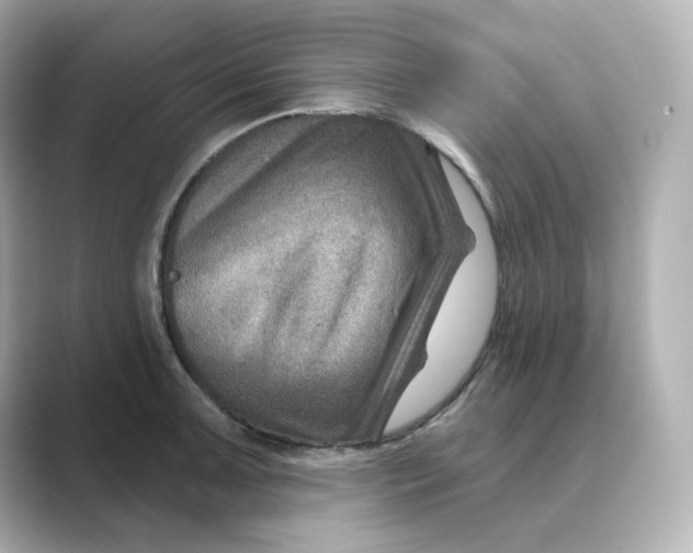 X0000088731091200706212034