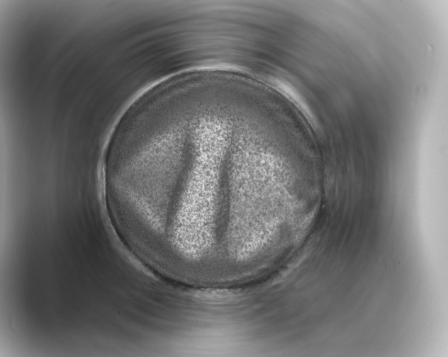 X0000088731092200706212034