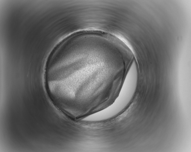 X0000088731093200706212034