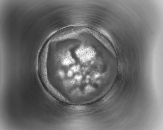 X0000088731095200706212034