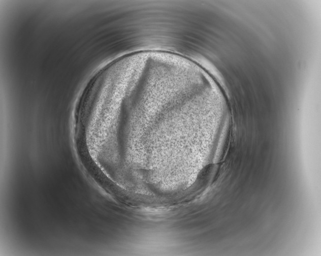 X0000088731096200706212034