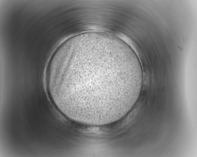 X0000088731098200706212034