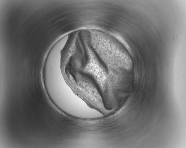 X0000088731100200706212034