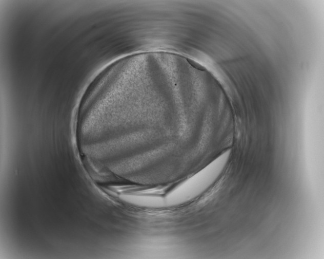 X0000088731102200706212034