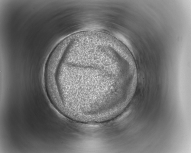 X0000088731103200706212034