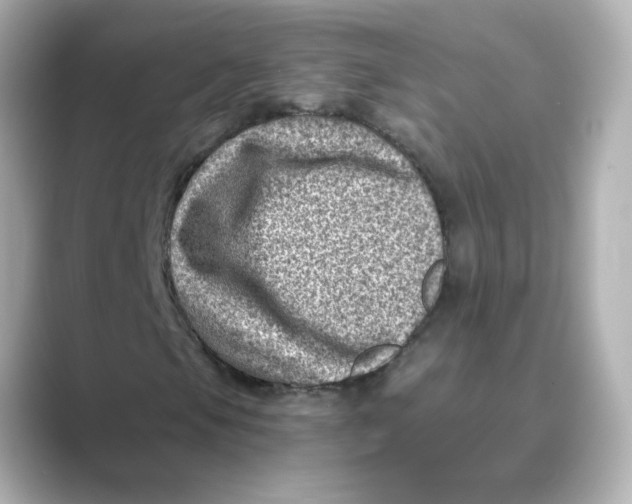 X0000088731105200706212034