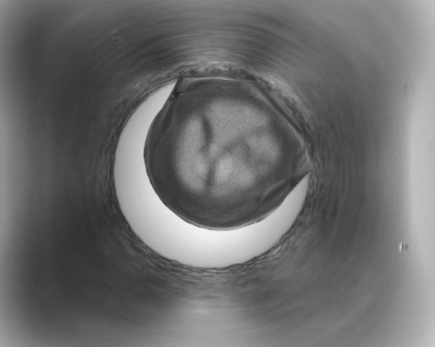 X0000088731110200706212034