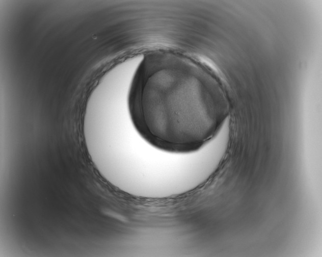 X0000088731112200706212034