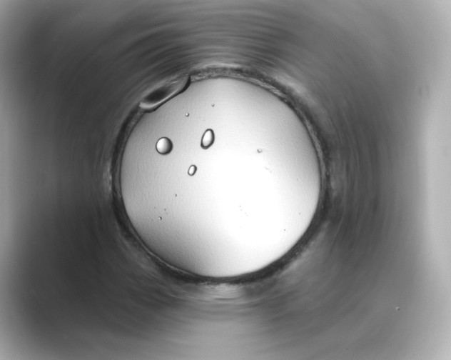 X0000088731113200706212034