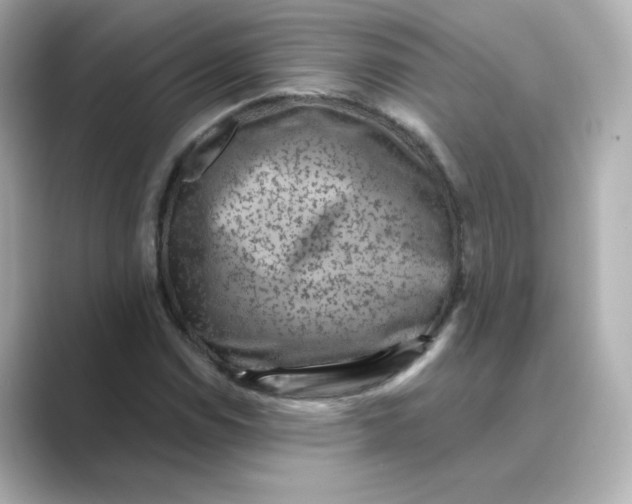 X0000088731114200706212034