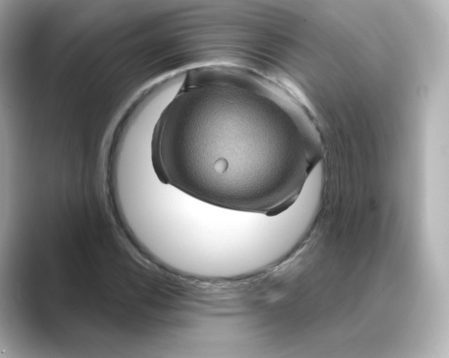 X0000088731116200706212034