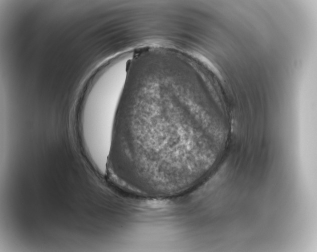 X0000088731117200706212034