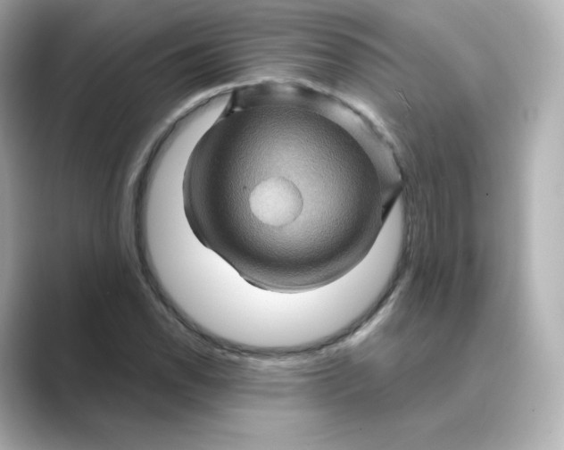 X0000088731118200706212034