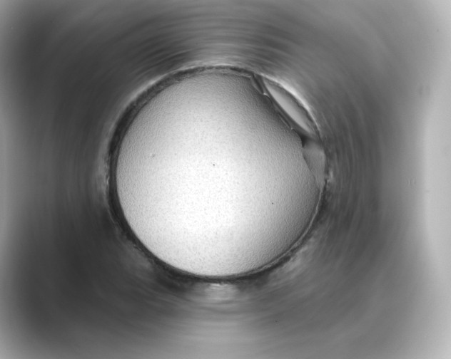 X0000088731119200706212034