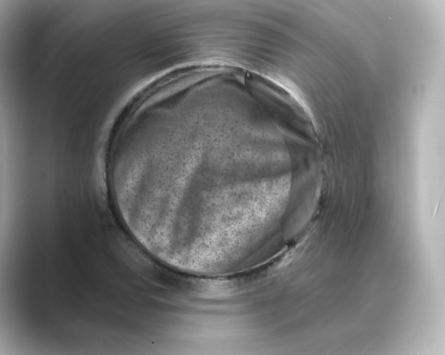 X0000088731120200706212034