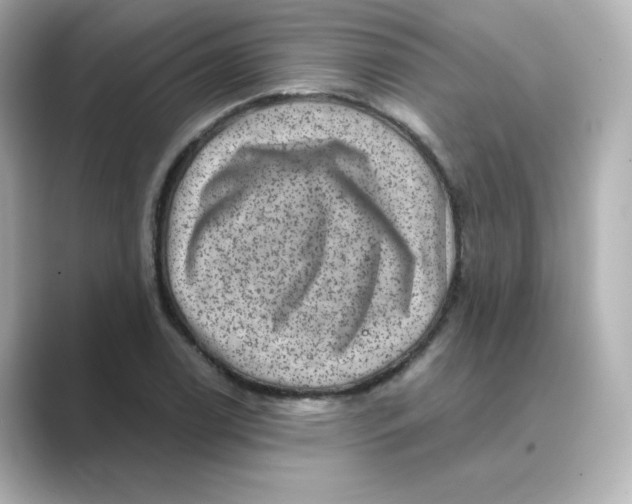 X0000088731122200706212034