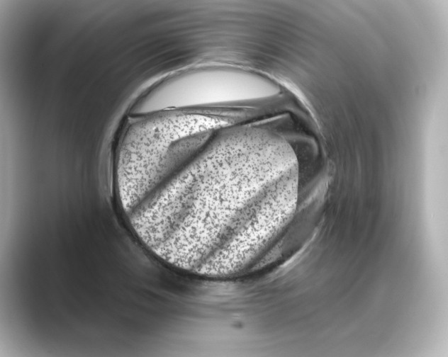 X0000088731123200706212034