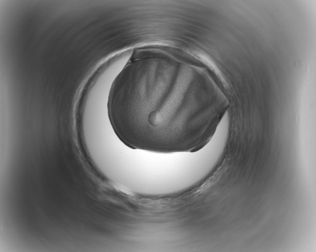 X0000088731124200706212034