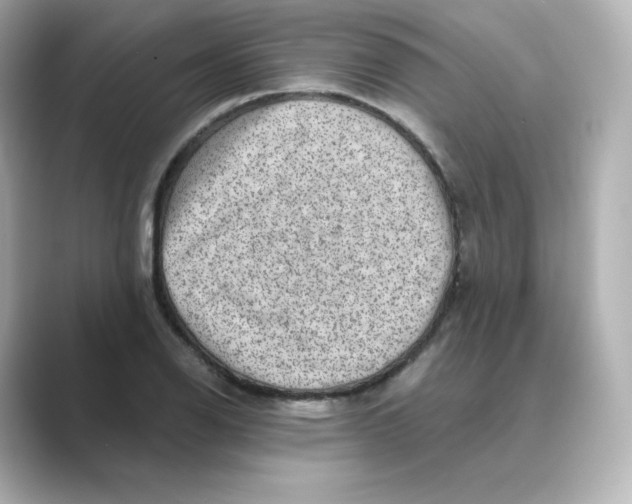 X0000088731126200706212034