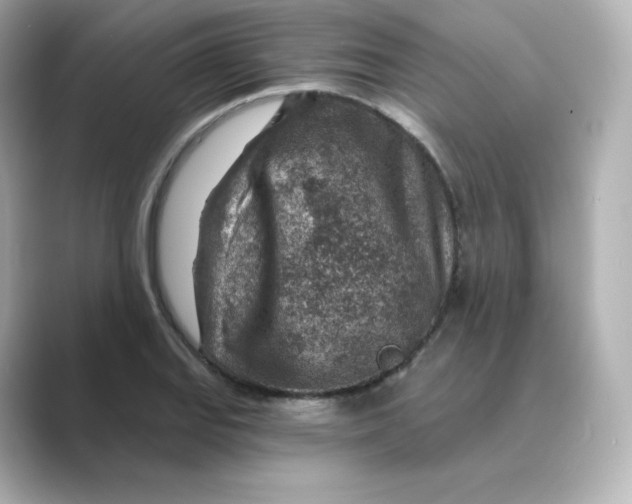 X0000088731127200706212034