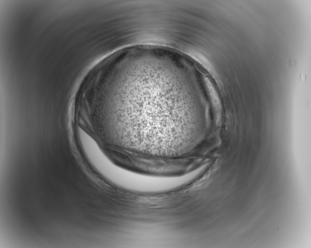 X0000088731128200706212034