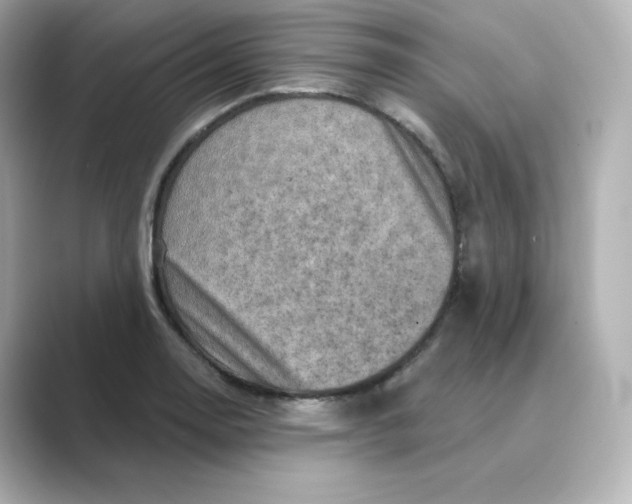 X0000088731130200706212034