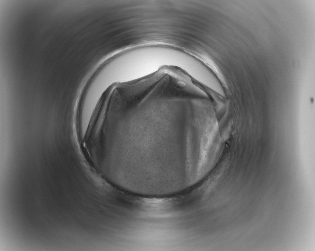 X0000088731132200706212034