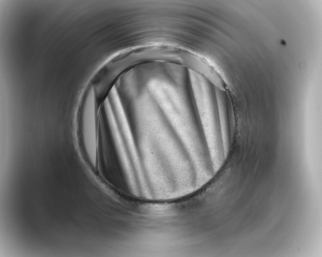 X0000088731134200706212034