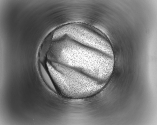 X0000088731135200706212034