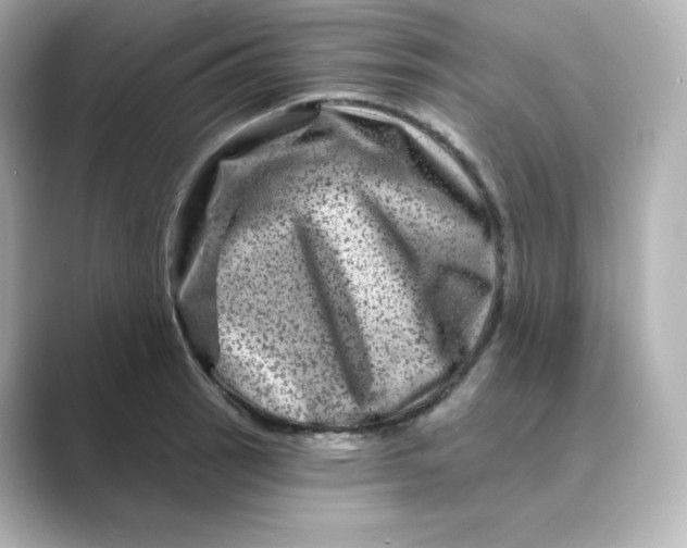 X0000088731137200706212034