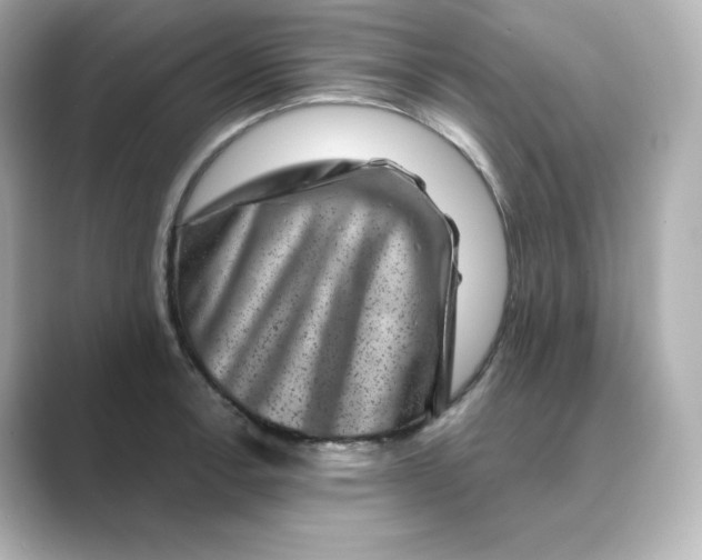 X0000088731138200706212034