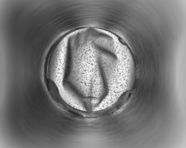 X0000088731139200706212034