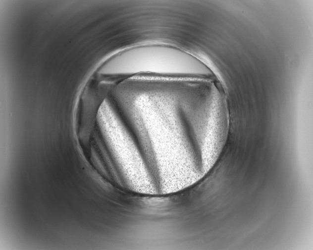 X0000088731140200706212034