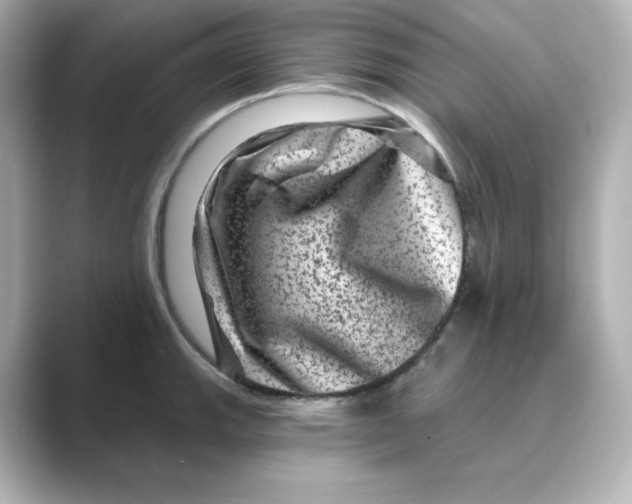 X0000088731143200706212034