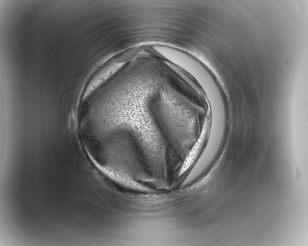 X0000088731145200706212034