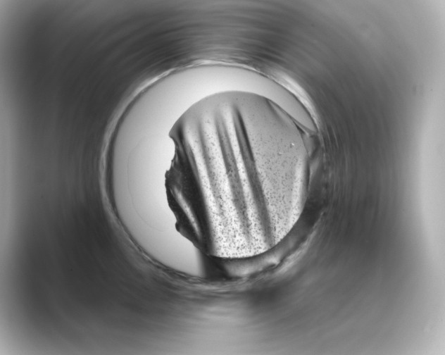 X0000088731146200706212034