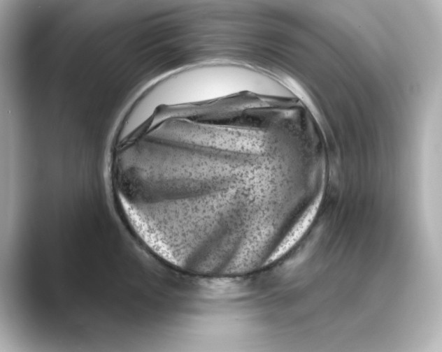 X0000088731149200706212034