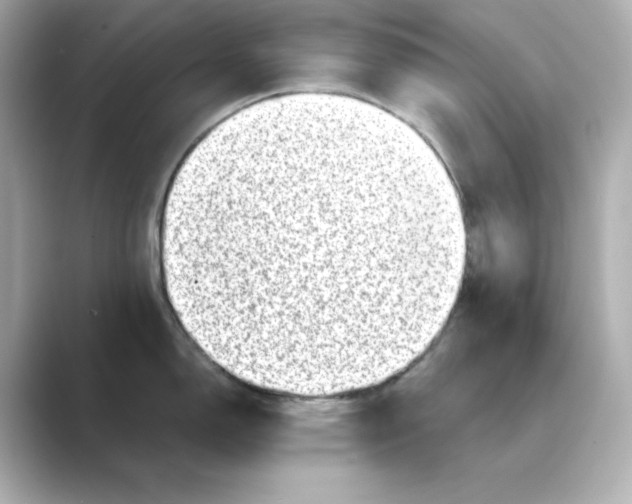 X0000088731150200706212034