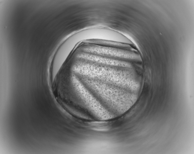 X0000088731151200706212034