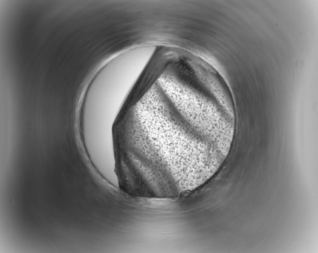 X0000088731152200706212034