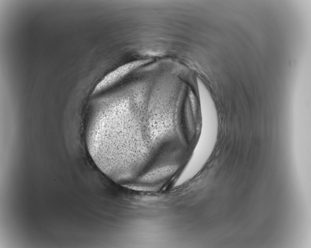 X0000088731153200706212034