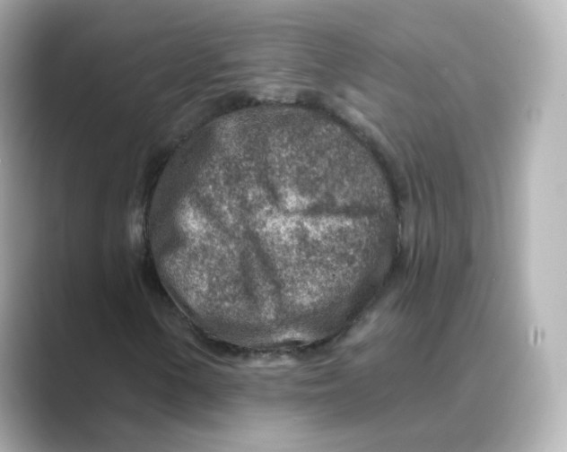 X0000088731154200706212034