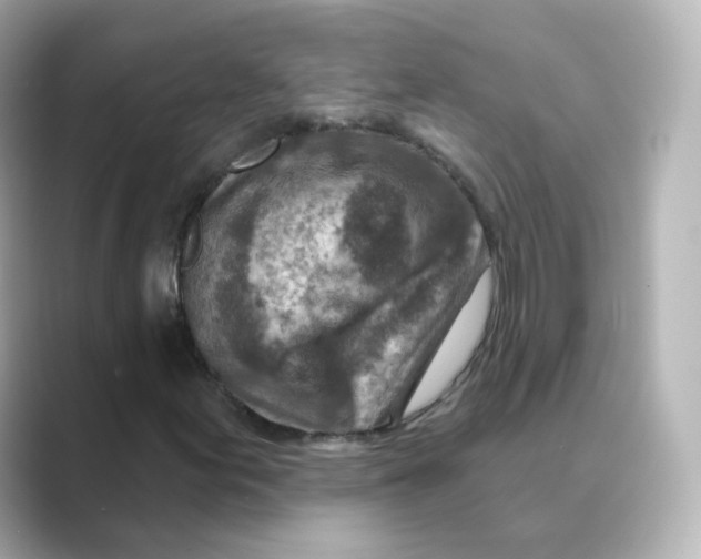 X0000088731155200706212034