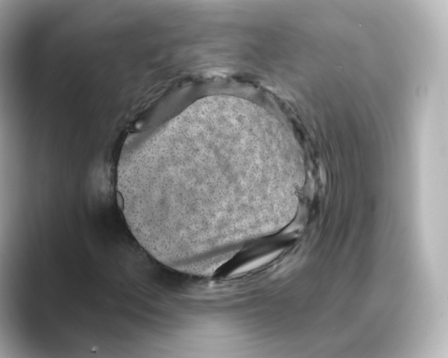 X0000088731156200706212034