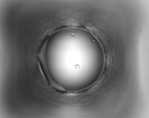 X0000088731157200706212034