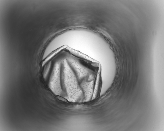 X0000088731160200706212034